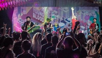 成都爆料最新视频,揭秘城市热点事件背后的真相  第2张